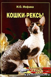 Кошка рекс