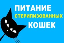 Стерилизованные кошки склонны к набору веса, поэтому после операции важно следить за питанием питомца. Рекомендуется кормить кошку специализированным кормом для стерилизованных животных. Такой корм содержит меньше калорий и помогает контролировать вес питомца