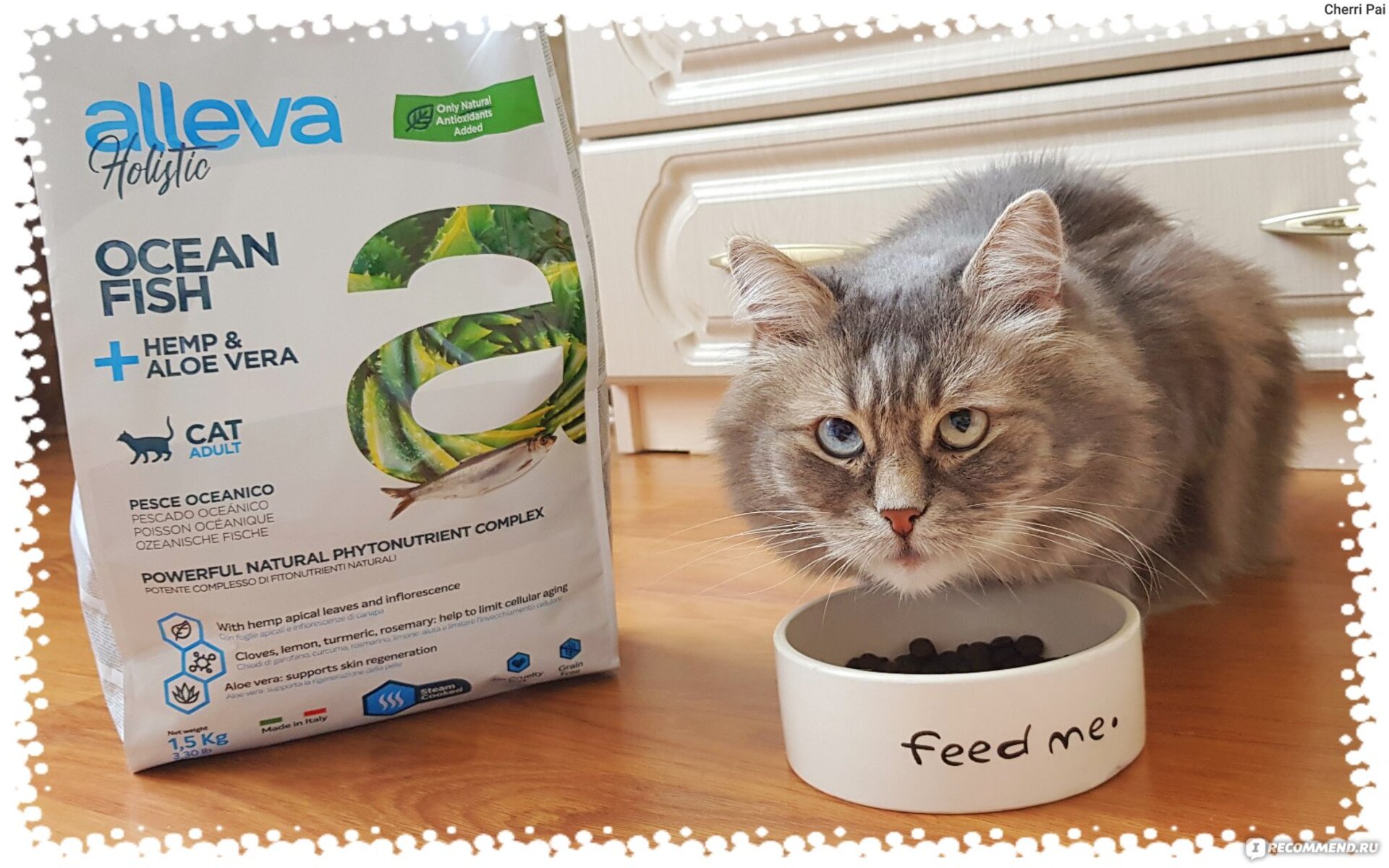 Alleva Holistic Adult Cat Ocean Fish — беззерновой корм для взрослых кошек с морской рыбой в составе. Он относится к холистикам и не содержит зерновых культур, что важно для кошек с чувствительным пищеварением или аллергией