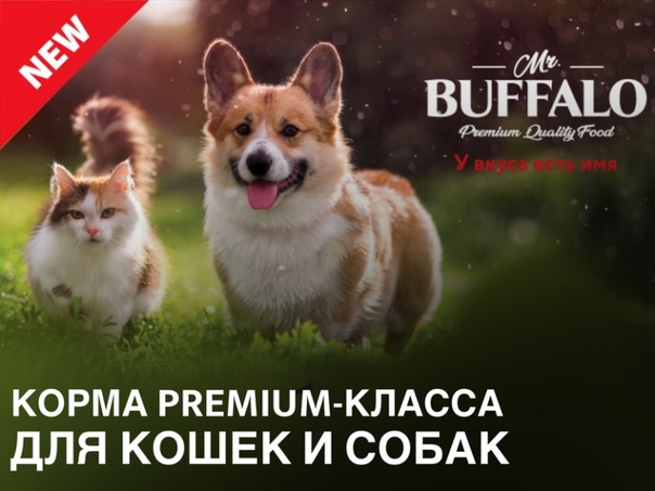 Корм для кошек Буффало производится на заводе «Провими» в городе Клин Московской области по заказу российского представительства немецкой компании Neoterica. Это корм премиум-класса, предназначенный для взрослых кошек.
