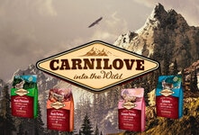 Carnilove – корм для кошек супер-премиум класса. При его изготовлении не используются злаки и картофель, а основная составляющая – это мясо. Ингредиенты питания отличаются высоким качеством. Продукт полностью восполняет все потребности кошки в питательных веществах