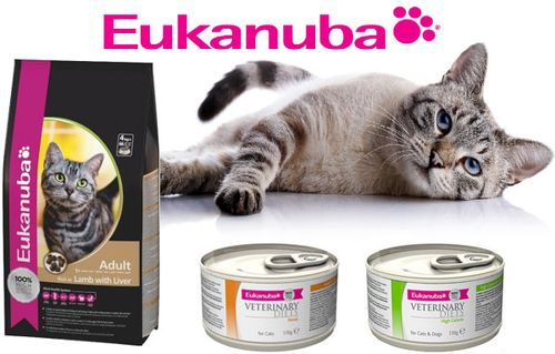 Eukanuba — полнорационный корм премиум-класса для кошек, разработанный с учётом их потребностей. В ассортименте бренда есть различные виды кормов для кошек: для разных возрастов, размеров, активности и особых потребностей.