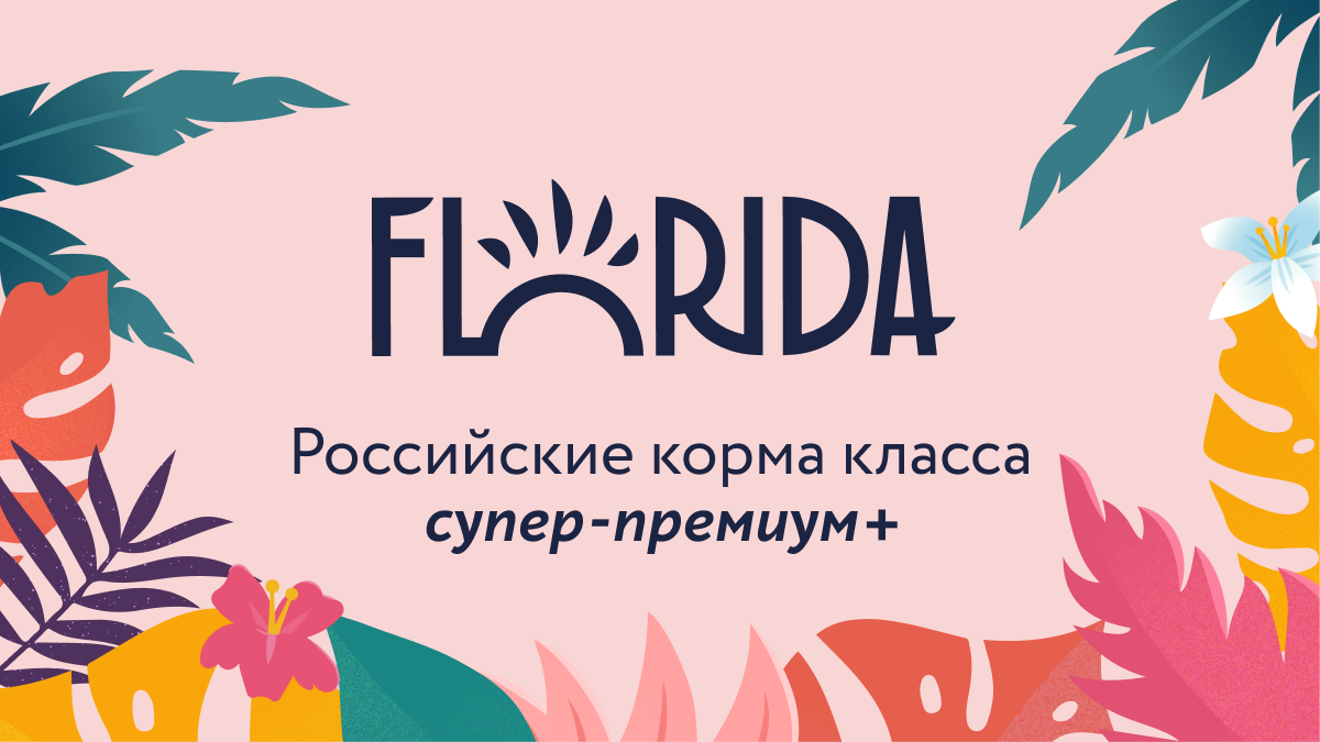 Корм для кошек Флорида относится к премиальному сегменту и предлагает широкий выбор влажных и сухих кормов для питомцев всех возрастов и размеров. Он содержит все необходимые компоненты для правильного роста и развития животных, включая животный белок, который легко усваивается организмом.