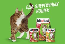 Корм для кошек Китикет относится к эконом классу самого низкого качества. В нём мало натурального мяса (либо и вовсе его нет), овощей, полезных минералов и витаминов
