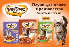 Корм для кошек Мнямс премиум - класса представляет собой совершенно новый подход к традиционной кухне для животных с использованием различных полезных и необычных ингредиентов. Для его приготовления используются только натуральные продукты, а также он содержит необходимые витаминные и минеральные добавки, а балластные вещества практически отсутствуют