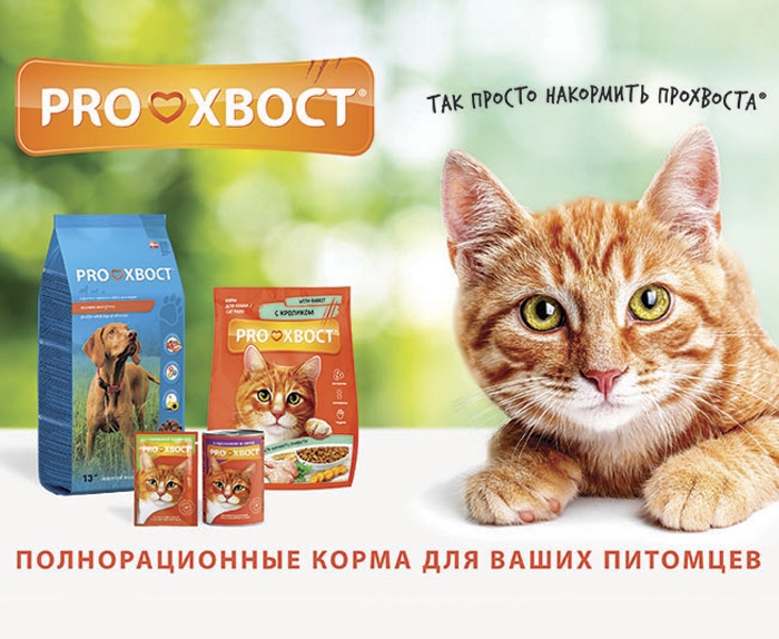 Корм для кошек Прохвост — это полноценное питание, разработанное с учётом потребностей кошек. Он содержит все необходимые питательные вещества, витамины и минералы, которые помогают поддерживать здоровье и активность вашего питомца