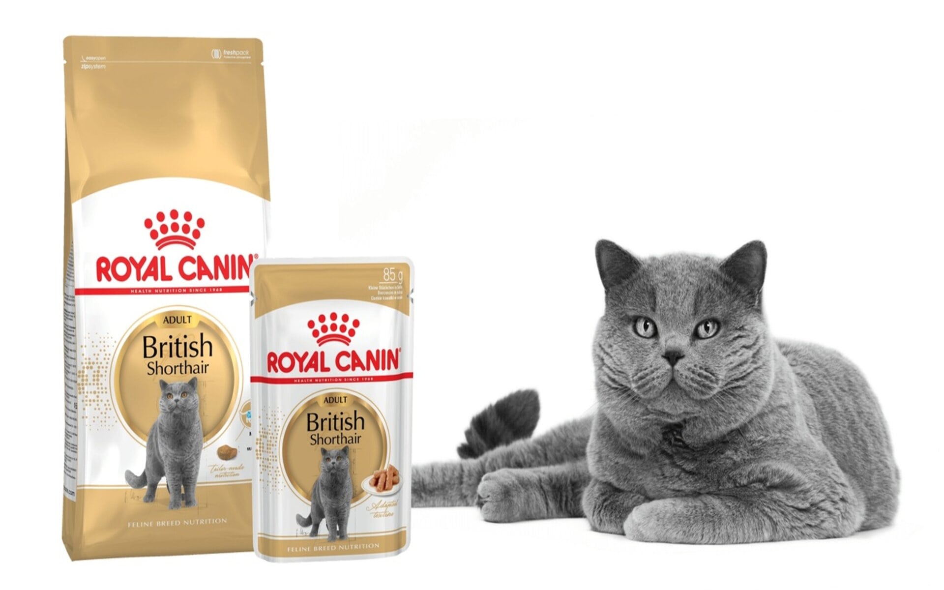 Royal Canin British Shorthair Adult — корм для взрослых кошек британской породы с короткой шерстью. Он учитывает все их потребности и обеспечивает полноценное питание, поддерживая здоровье