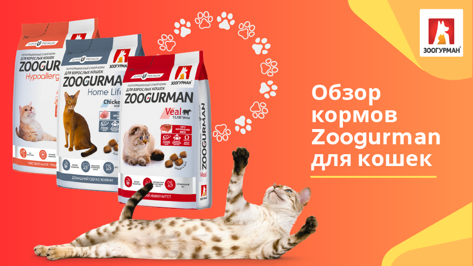 Корм для кошек «Зоогурман» был одним из первых рационов суперпремиум-класса и холистиков на российском рынке. Компания «ЗООГУРМАН» начала свою деятельность более десяти лет назад и уже завоевала признание среди ведущих производителей нашей страны.