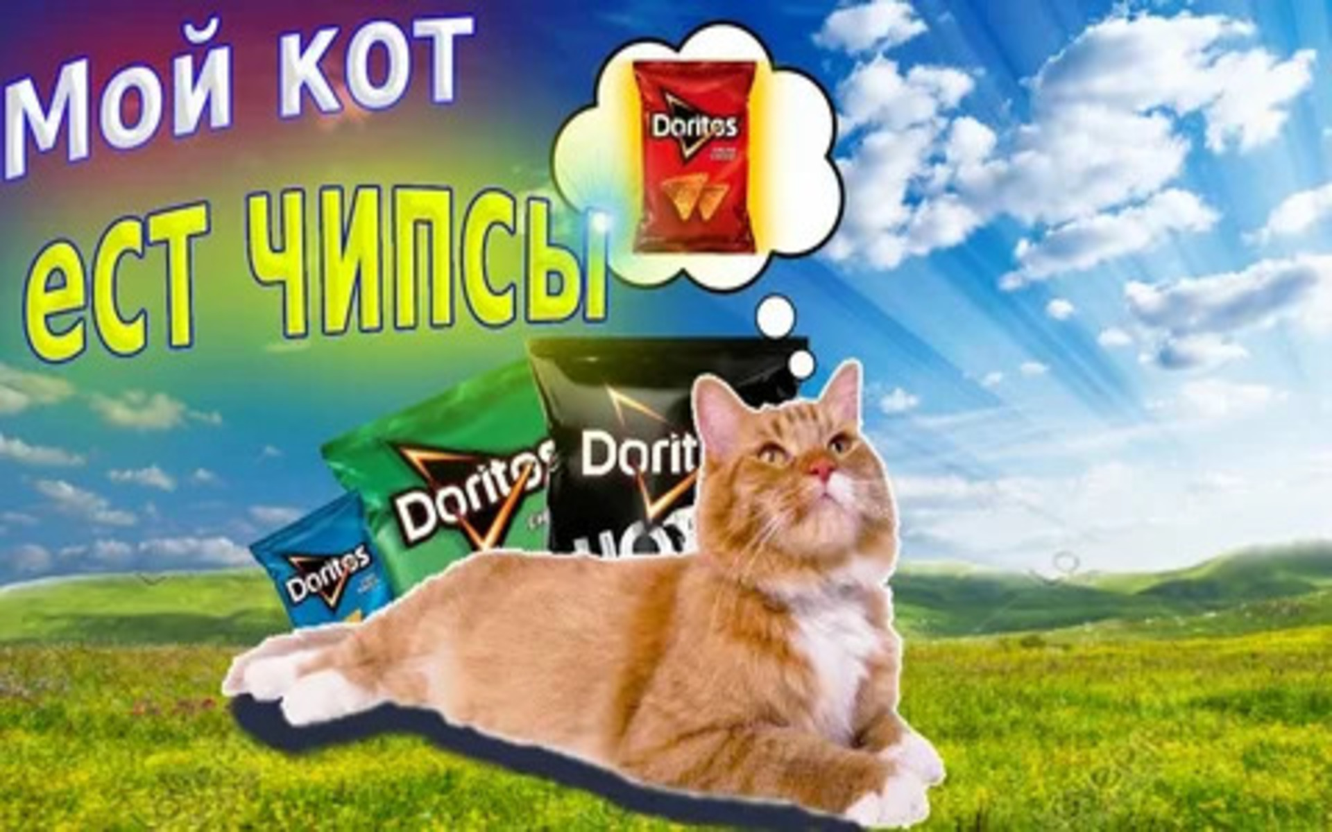 Если вы хотите удивить свою кошку чем-то особенным, то стоит обратить внимание на специальные снеки, созданные специально для животных